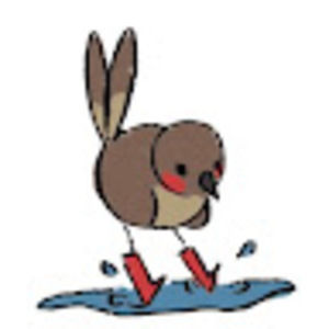 Meet your Posher, Ayla